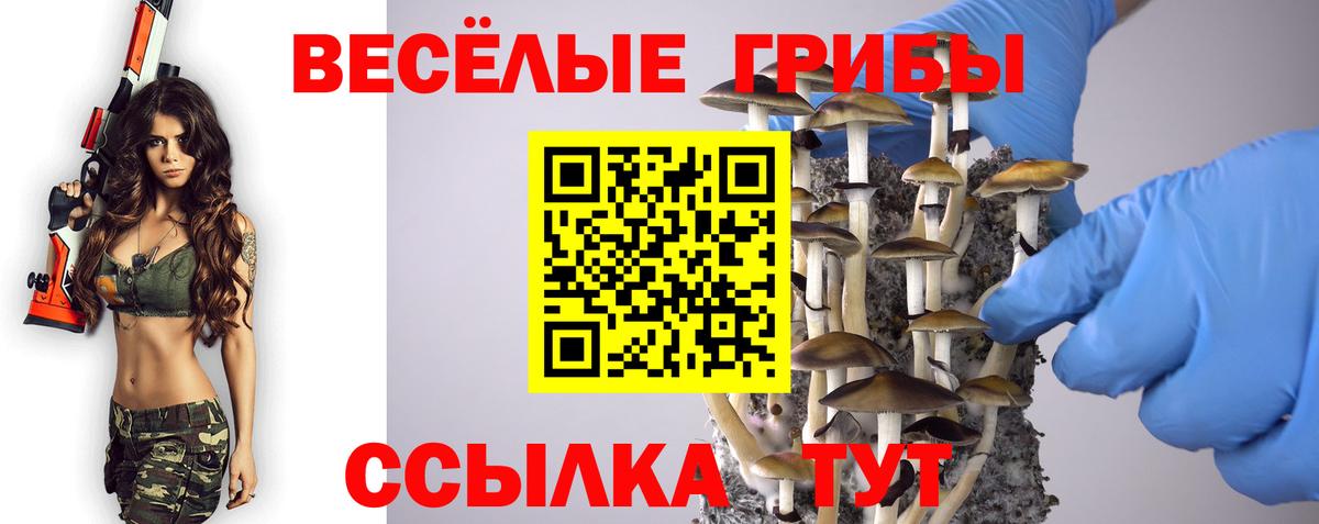 Галлюциногенные грибы Psilocybe Касимов