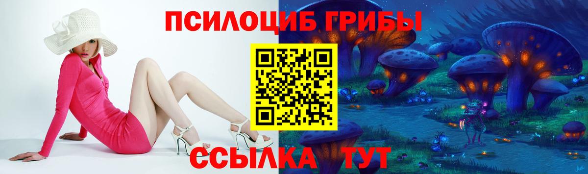 Касимов  Галлюциногенные грибы Psilocybine cubensis  Вход с VPN  Галлюциногенные грибы Psilocybine cubensis 